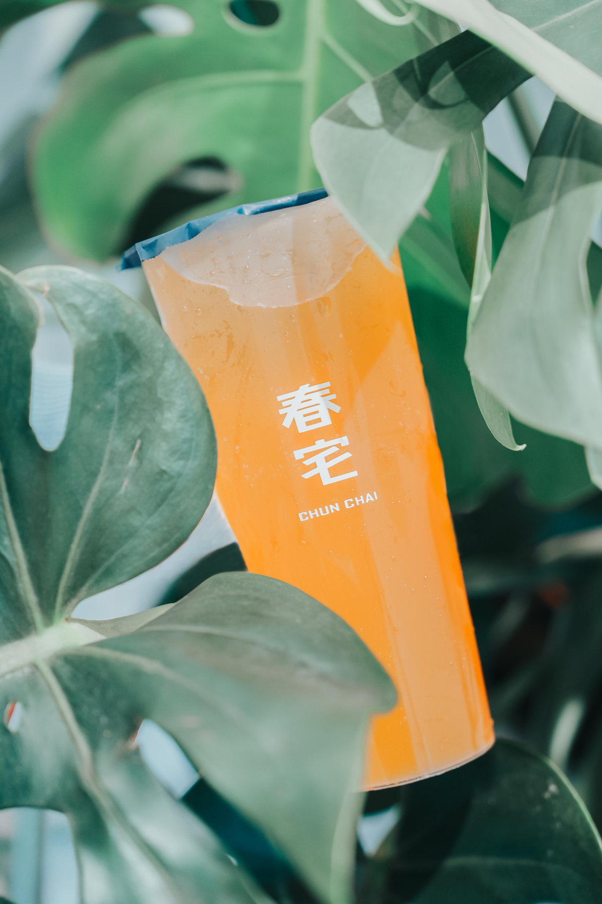 #春宅朝富店 #台中西屯飲料推薦